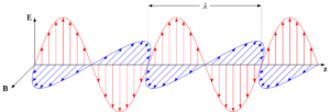 Dual polarization